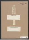 Frustulia bohemica var. fossilis (Ehr.) (de-Toni-Nr.: Genus 19, Species 1164) Zeichnungen Sammlung Grunow Nr. 2274 (NHMW-BOT-W0369390)